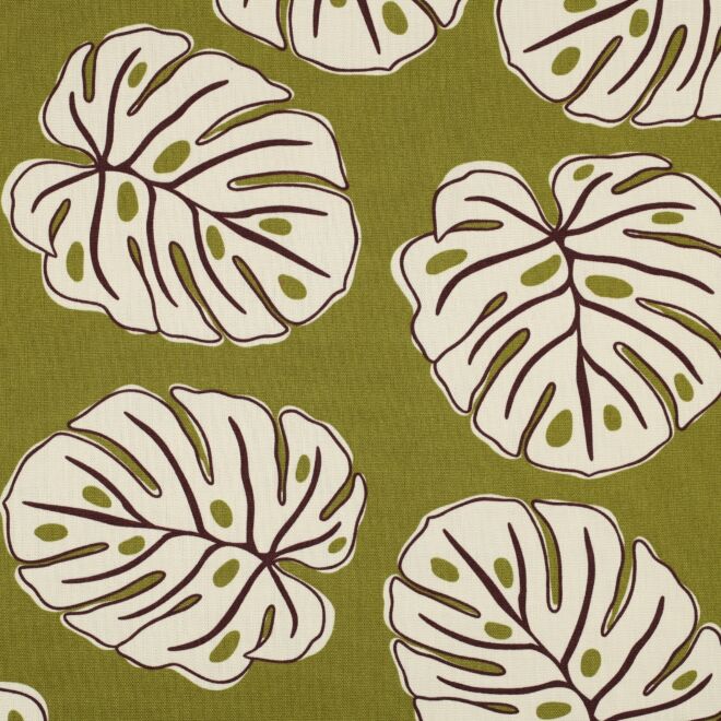 Canvas Monstera Blätter olivgrün