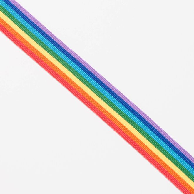 25mm Webband Regenbogen