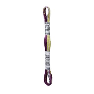 DMC Moulinégarn  Coloris  - 4503 (Art. 517)