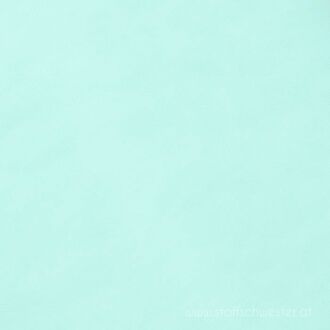 Soft-Tüll mint